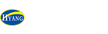 Tonghesoft Logo